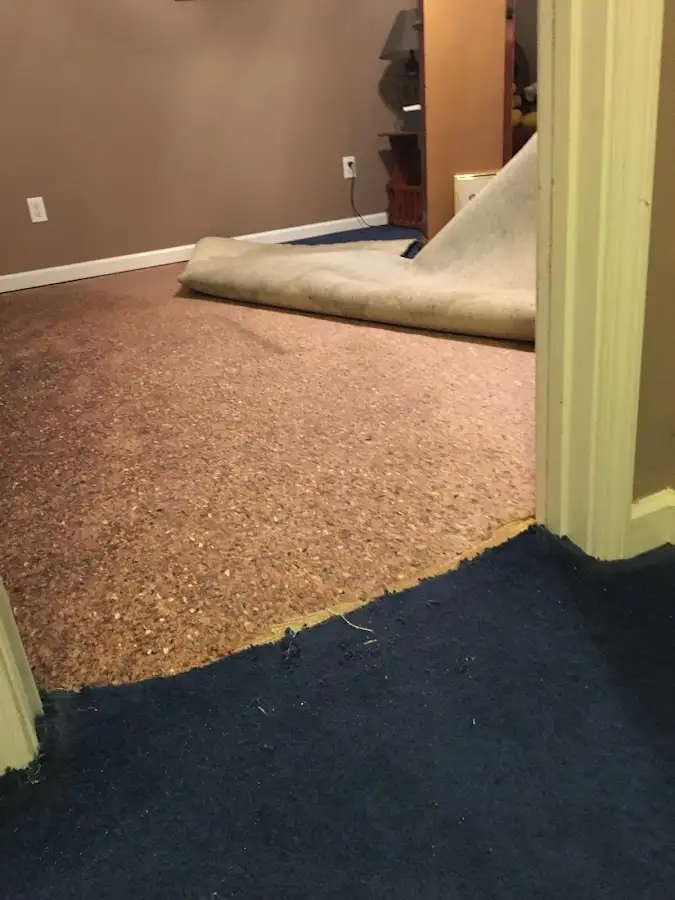 Carpet pad removal revealing water damage during Drying & Dehumidification in Plantation