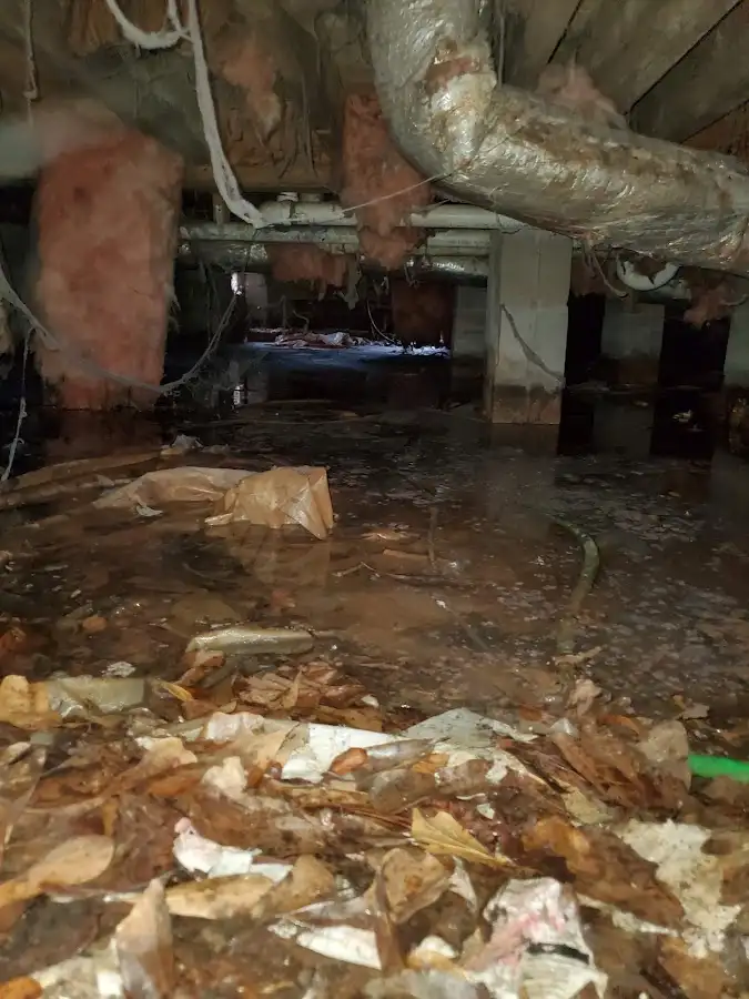 Crawl space flood assessment for Leak Detection & Repair in Plantation
