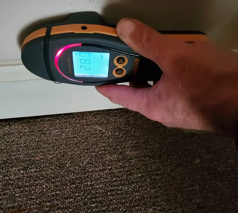 Moisture detection at baseboard during Sewage Cleanup & Sanitation in Plantation